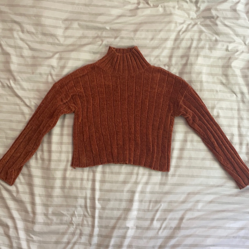 Cropped Turtle Neck